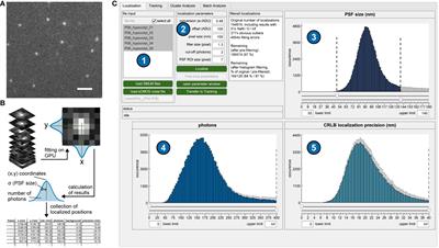 OneFlowTraX: a user-friendly software for super-resolution analysis of single-molecule dynamics and nanoscale organization